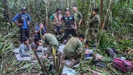 Quatro crianças indígenas são encontradas vivas após 39 dias nas selvas da Colômbia