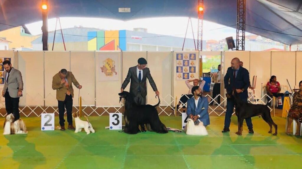 Ribeirão Pires terá exposição de cães neste fim de semana