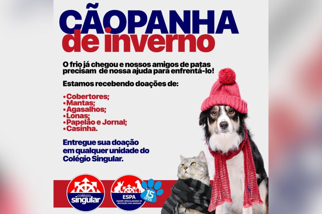 Campanha social do Singular beneficia animais abandonados