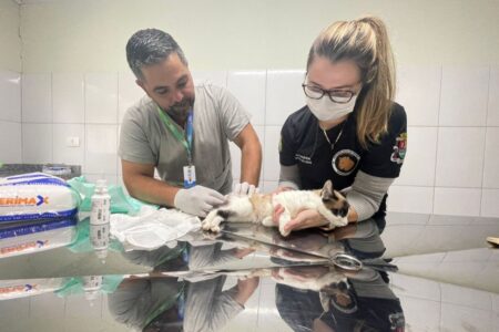 Equipe Ambiental de Ribeirão Pires completa dois anos com quase 5 mil resgates