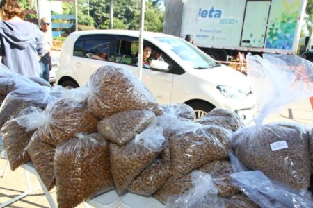 Parque Central recebe mais uma edição do Moeda Pet neste sábado