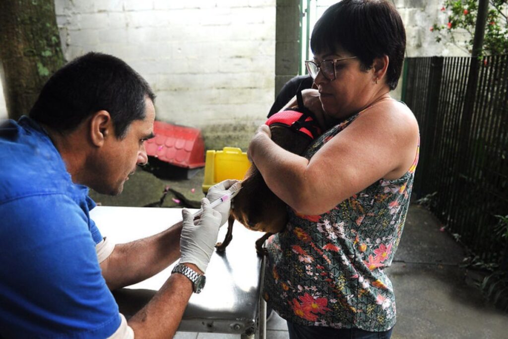 Diadema vacina cães e gatos contra raiva na última semana de agosto