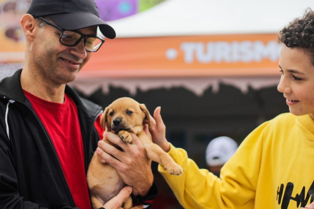 Feira de Adoção de Cães e Gatos está em todos os domingos do Festival do Chocolate de Ribeirão Pires

