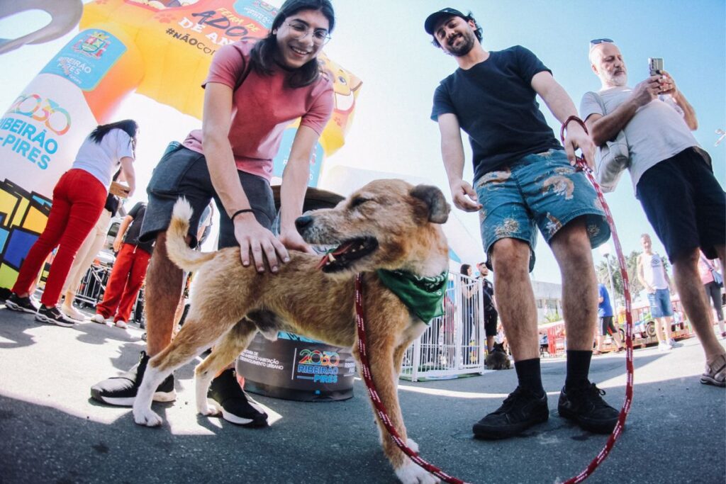 Feira de Adoção de Cães e Gatos no Festival do Chocolate já encontrou 20 novos lares para pets em Ribeirão Pires