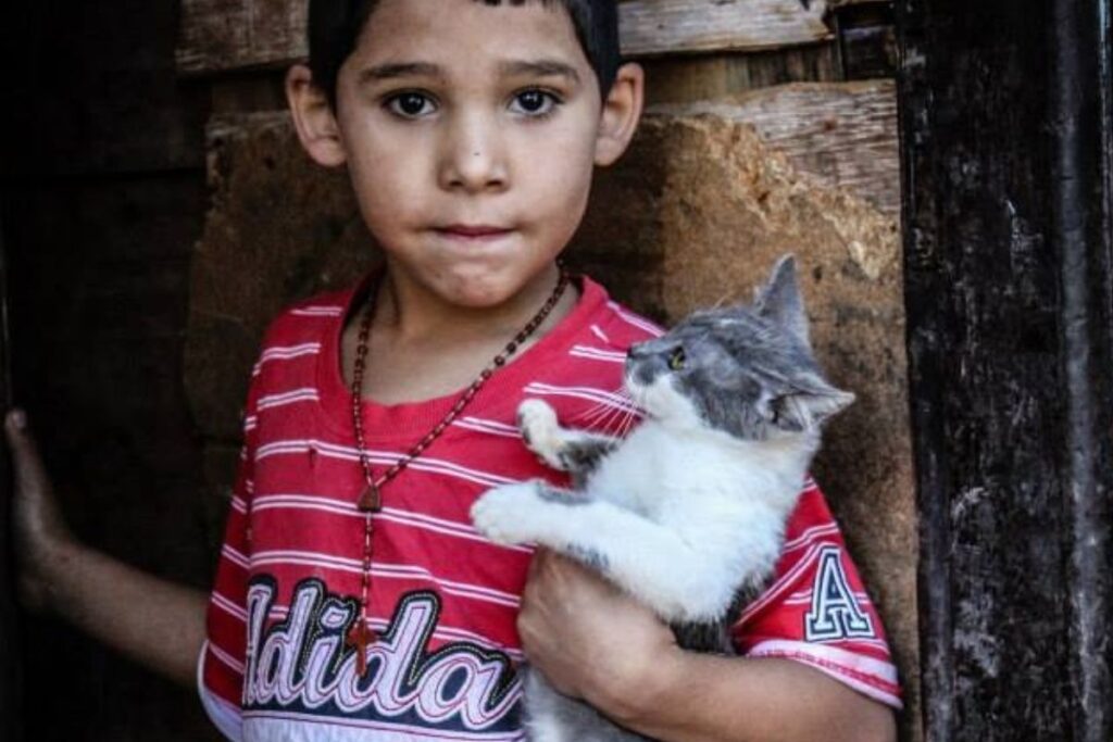 ONG de Proteção Animal promove campanha para inauguração de nova clínica
