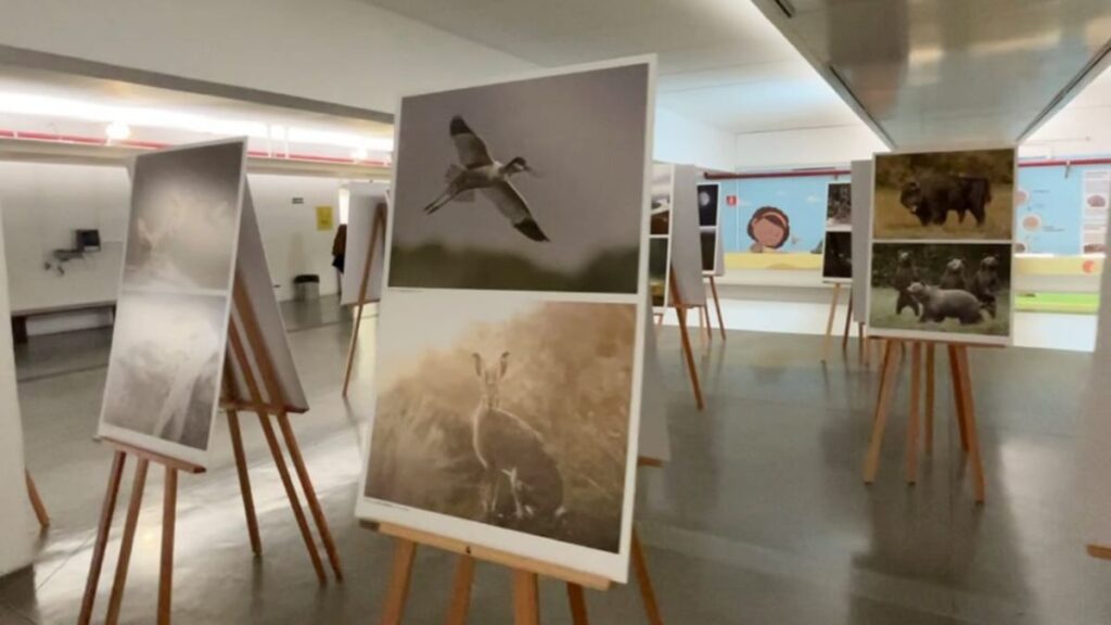 Sabina recebe exposição com fotografias premiadas de países da Europa Central