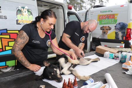 Castramóvel de Ribeirão Pires leva saúde animal ao bairro de Ouro Fino