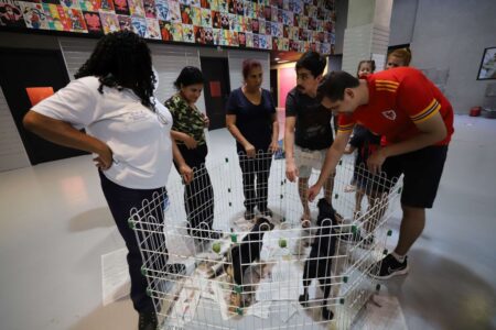 Diadema consegue lar para 80% dos pets em Feira de Adoção