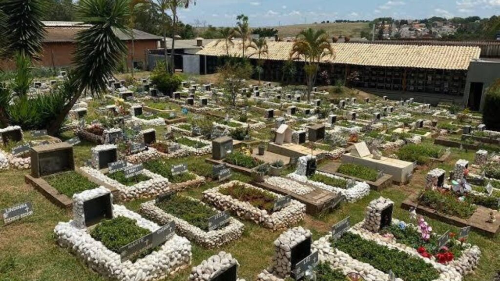 Santo André terá primeiro cemitério e crematório público animal do ABC

