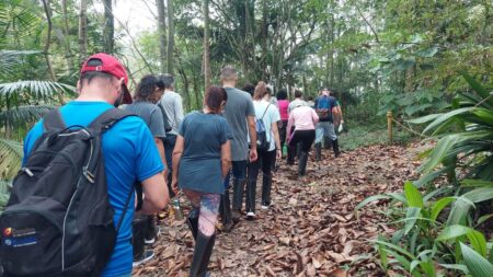 Trilhas no Parque do Pedroso sensibilizam população para as questões ambientais