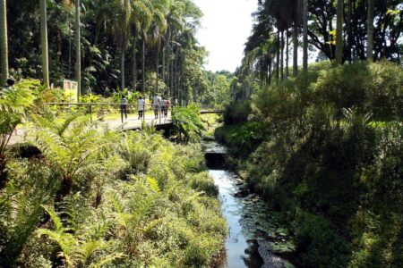 Centro Cultural FIESP recebe a Mostra Rios e Ruas