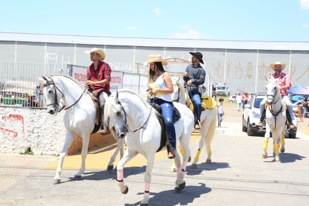 São Caetano realiza 19ª Cavalgada em homenagem a Nossa Senhora Aparecida

