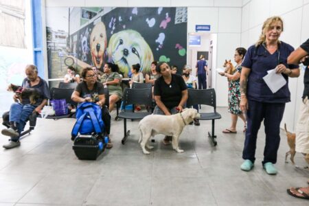 Hospital veterinário de São Bernardo chega ao centésimo atendimento ambulatorial