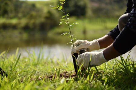 De campanha de inclusão produtiva à jornada de descarbonização Ambev e outras empresas brasileiras estão na COP 28