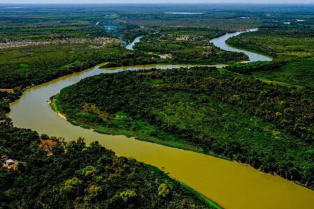 Lei do Pantanal é sancionada para garantir conservação do bioma