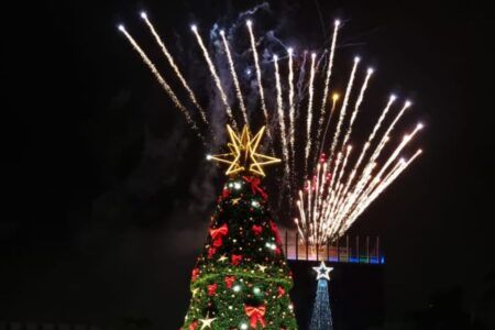 Natal Solidário de Santo André chega ao fim com arrecadação recorde de 25 toneladas de alimentos