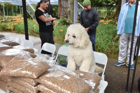 Moeda Pet distribui 8,5 toneladas de ração em 2023