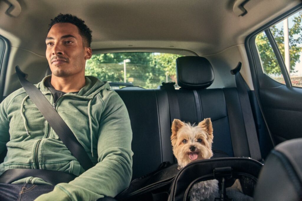 Paulistanos e cariocas já podem transportar bichinhos com o Uber Pet
