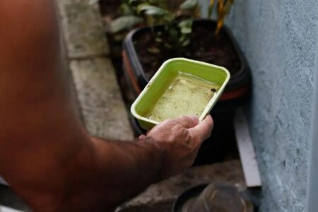 Vacina da dengue agrega outras estratégias de combate, diz ministério