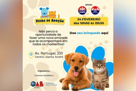 Feira de adoção animal tem apoio do Colégio Singular