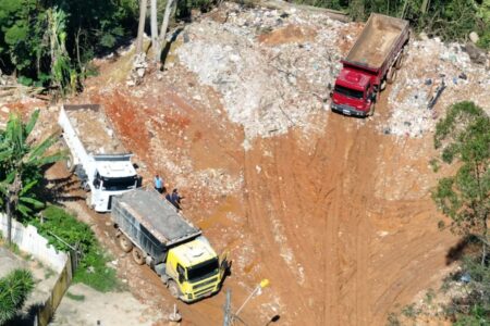 Semasa flagra crime ambiental em área do Parque do Pedroso