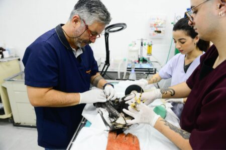 Zoo de São Bernardo Clínica veterinária reformada oferece melhor atendimento aos animais