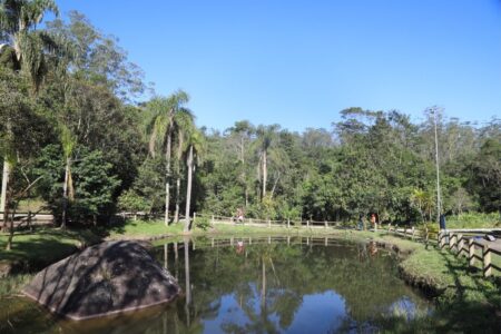 MEC promove seminário para profissionais da educação em Mauá