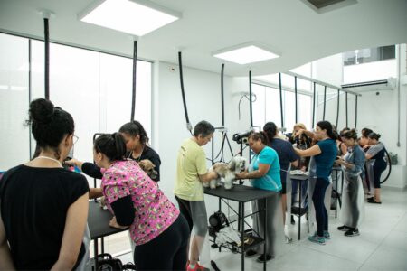 Curso de Banho e Tosa da Escola de Saúde e Bem-Estar Animal de São Caetano inicia aulas práticas