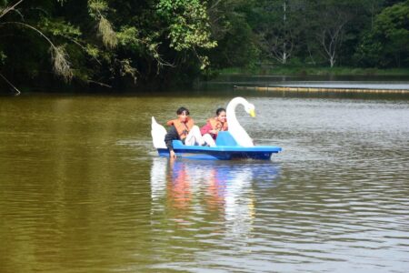 Pedalinho do Parque do Pedroso leva alegria e diversão para mais de 3 mil pessoas em um mês