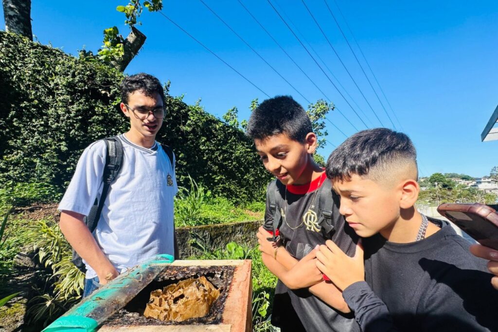 Semana das Abelhas: Projeto "Condomel - Abelhas da Mata" revitaliza ecossistema urbano de Ribeirão Pires

