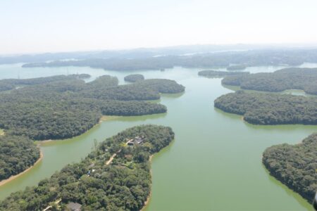 No Dia Mundial do Meio Ambiente, São Bernardo efetiva plano de restauração de nascentes