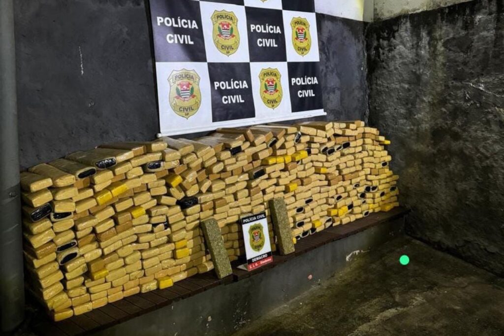 Polícia Civil apreende meia tonelada de droga em duas ações em SP (1)
