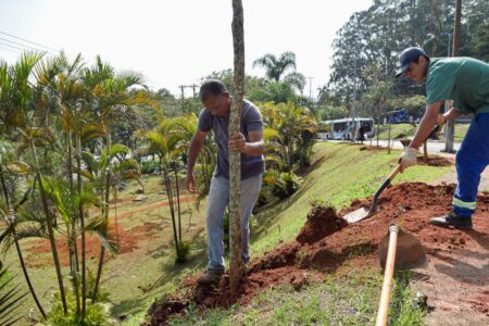 'Rua da Gente – Circuito Entre Parques' promove reflorestamento em Diadema