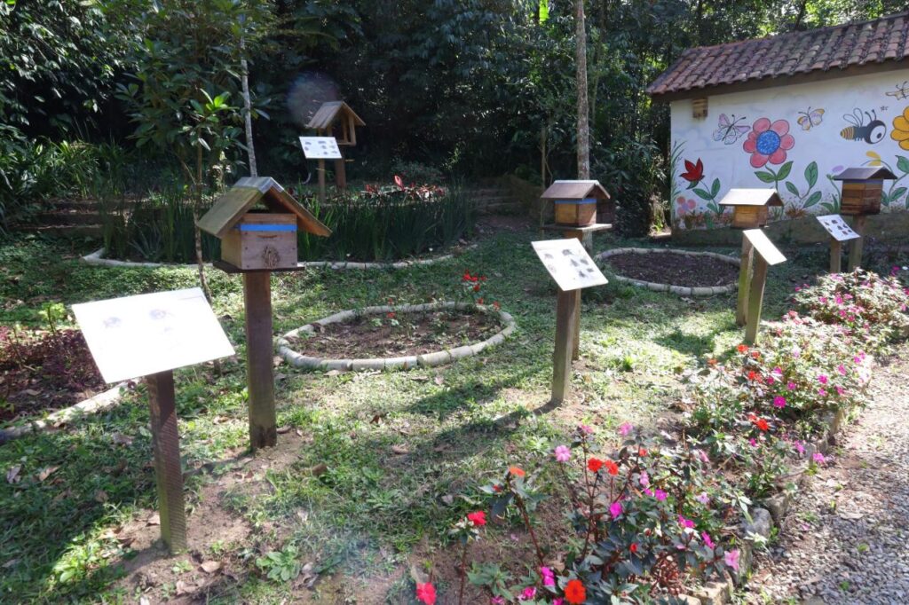 Parque do Guapituba triplica o número de visitantes em um ano