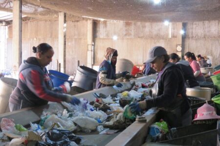 Semasa realiza atividades de educação ambiental em agosto para promover sustentabilidade