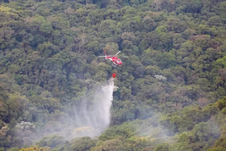 Governo de SP amplia em 13,5 mil bombeiros o efetivo para combater os incêndios florestais