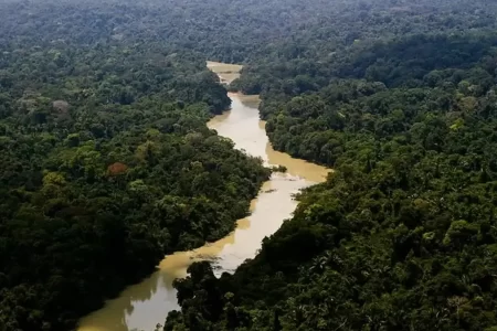 Governo entra com primeira ação por danos climáticos contra a Amazônia