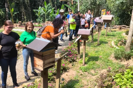 Jardim das Abelhas do Parque do Guapituba completa um ano e promove oficina de conscientização