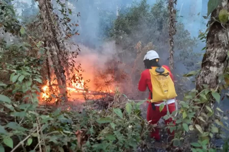 Primavera começa com alerta da Defesa Civil do estado de SP para risco de incêndio