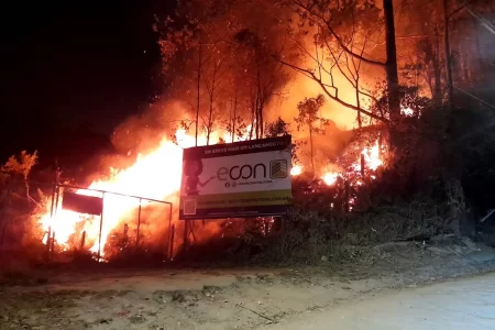 Santo André e São Bernardo se unem em combate a incêndio em área de mata do Parque Natural do Pedroso