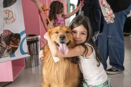 Crianças interagem com cães em ação de bem-estar no Atende Fácil Saúde