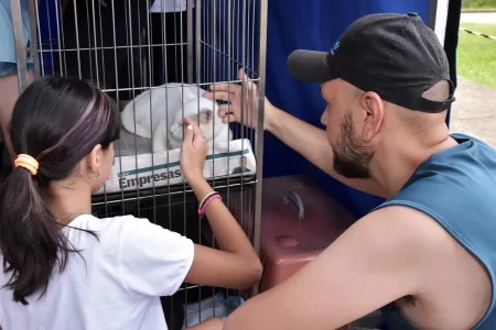 Feira de adoção no Parque Central de Santo André reúne 169 animais à espera de um lar