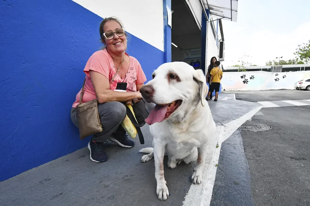 Hospital Veterinário de São Bernardo celebra um ano de operações e 65 mil atendimentos