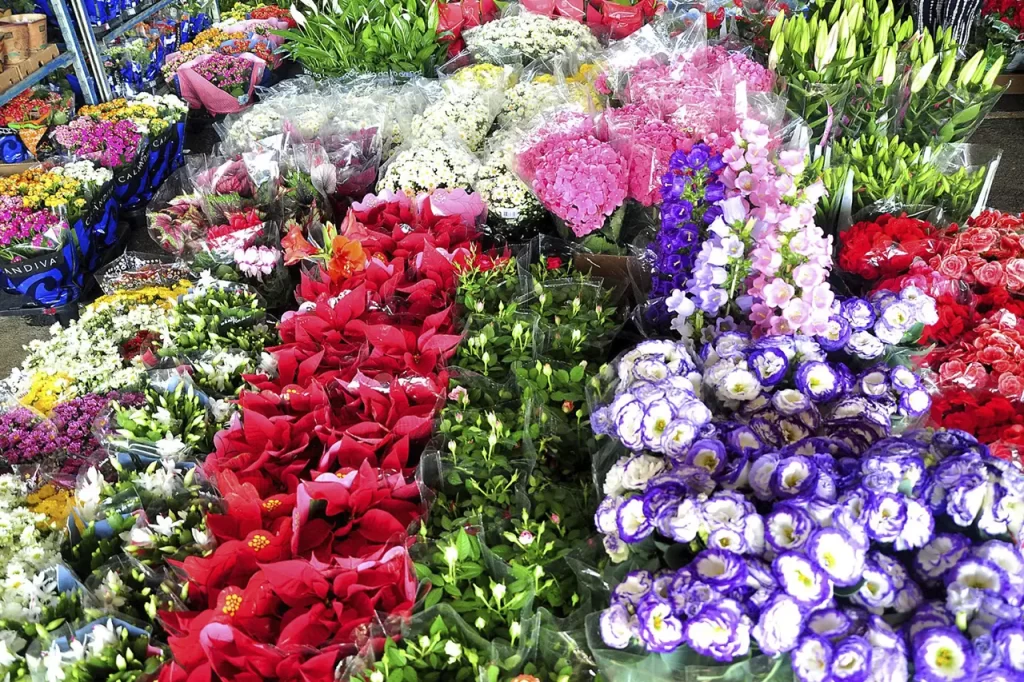 Mercado de Flores da Craisa é opção de compras para o Dia de Finados