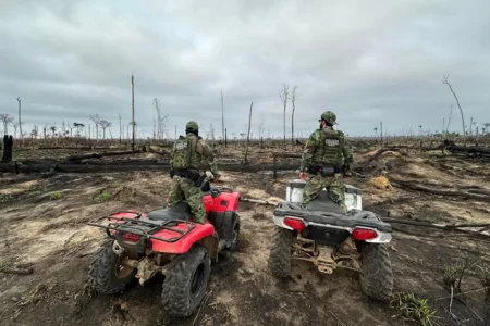 Polícia Federal intensifica investigações e ações de repressão contra incêndios criminosos no país