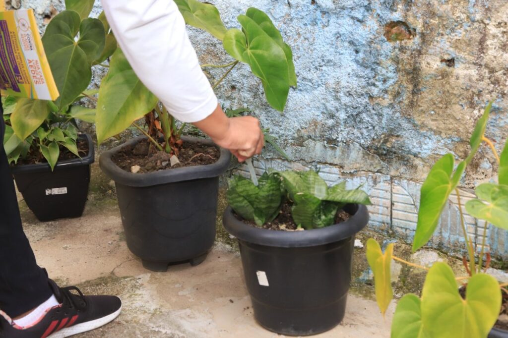 Equipes de Saúde de Mauá orientam sobre o combate ao Aedes aegypti durante a Virada Inclusiva.