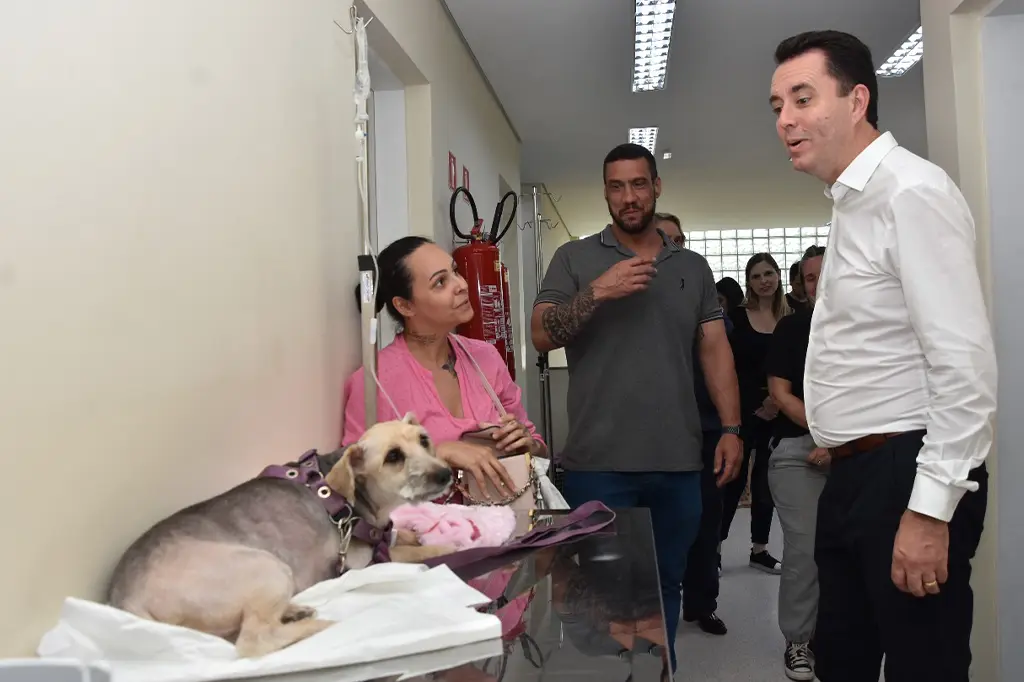 Hospital Veterinário Municipal de Santo André alcança 10 mil atendimentos 1 Hospital Veterinário Municipal de Santo André, com estrutura moderna e serviços para pets, celebrando 10 mil atendimentos.