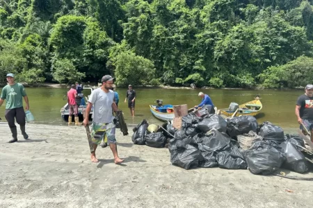 Programa Mar sem Lixo retira 32 toneladas de resíduos de oceanos e manguezais de SP