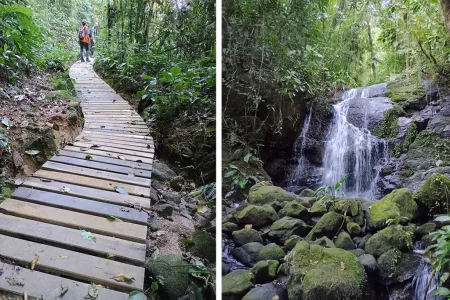 Santo André firma parceria com Fundação Florestal para ações de conservação em Paranapiacaba e Parque Andreense