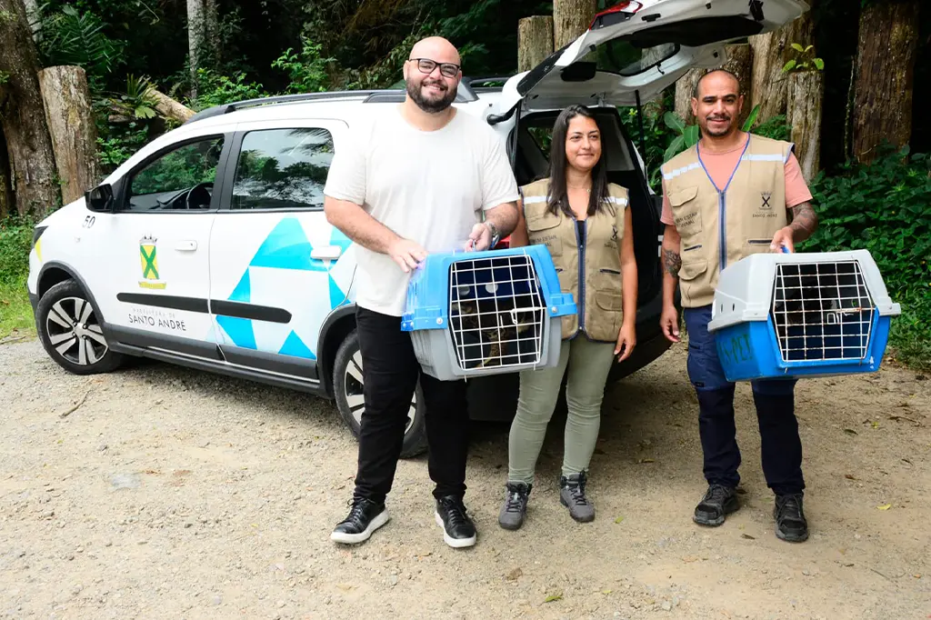 Gaviões resgatados em Santo André são devolvidos à natureza após reabilitação